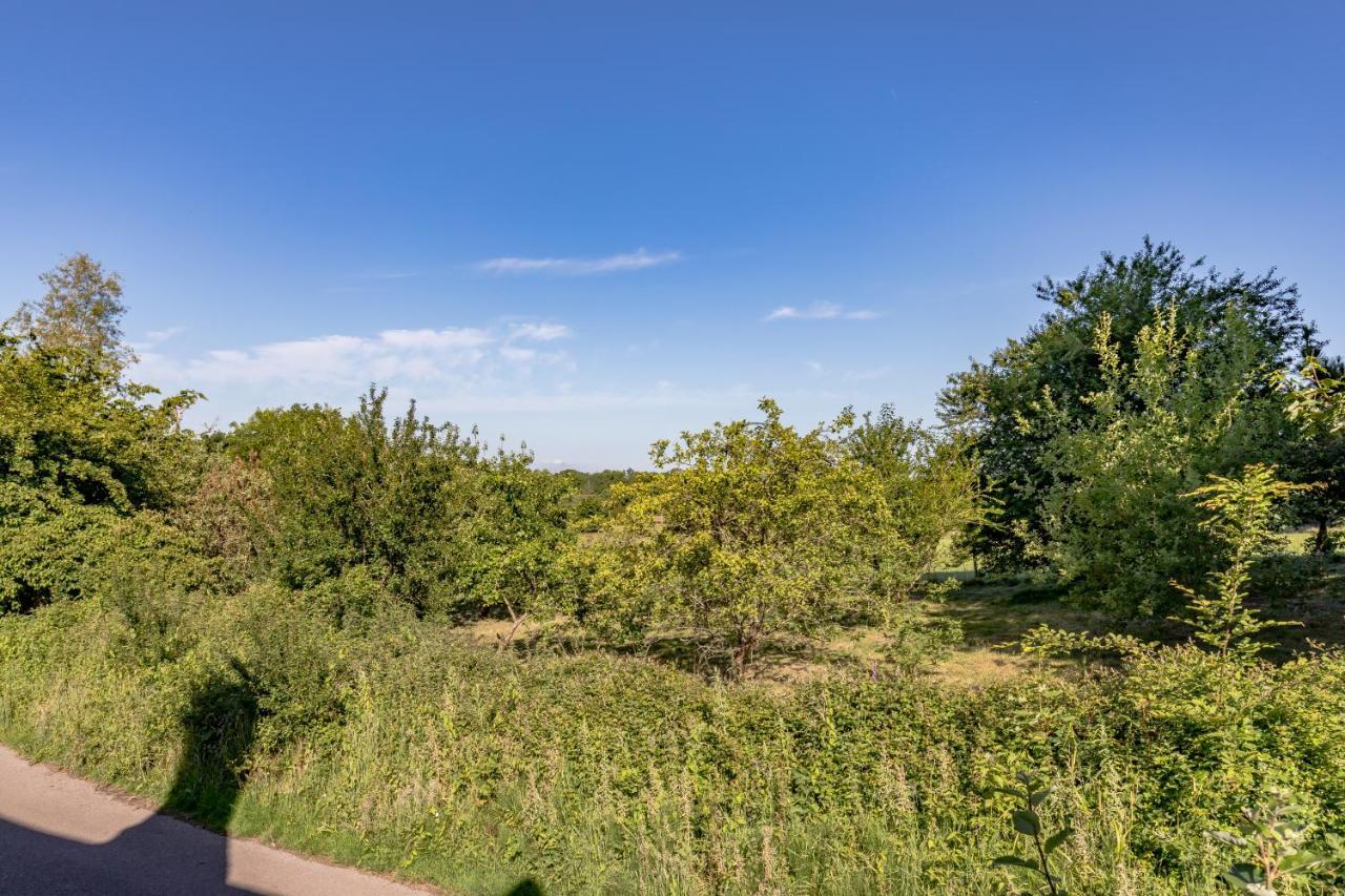 Danny Lodge - Country Cottage Near Brighton By Huluki Sussex Stays Hurstpierpoint ภายนอก รูปภาพ